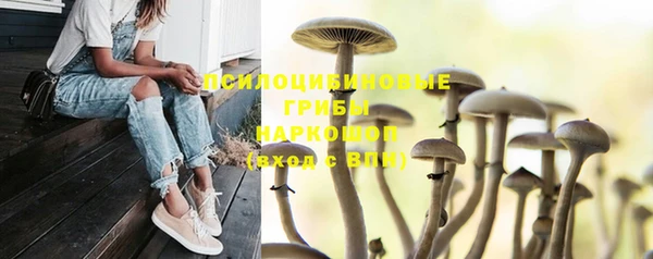 первитин Алзамай
