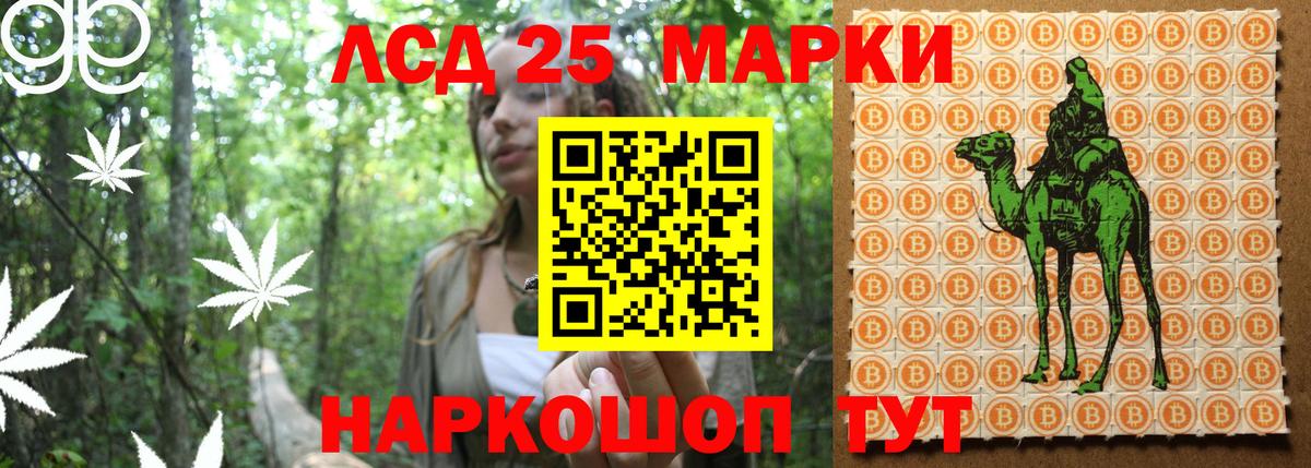 Мефедрон   А ПВП СК   Канабис  Гурьевск  Наркошоп  ГАШИШ  Вход с VPN 