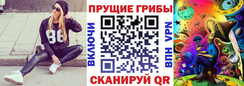 нарко площадка клад  Гурьевск  Галлюциногенные грибы мицелий 