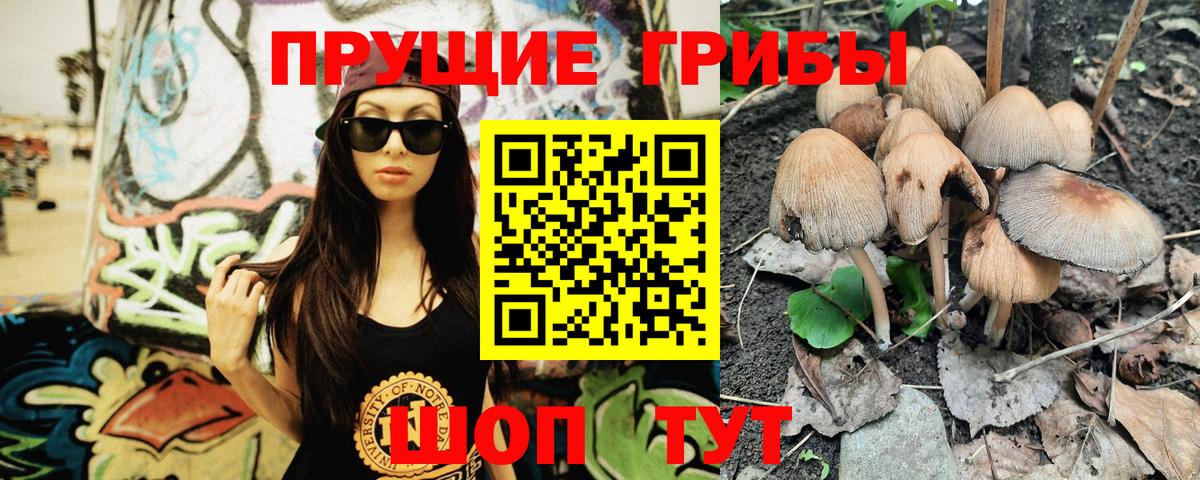 Псилоцибиновые грибы Magic Shrooms Гурьевск