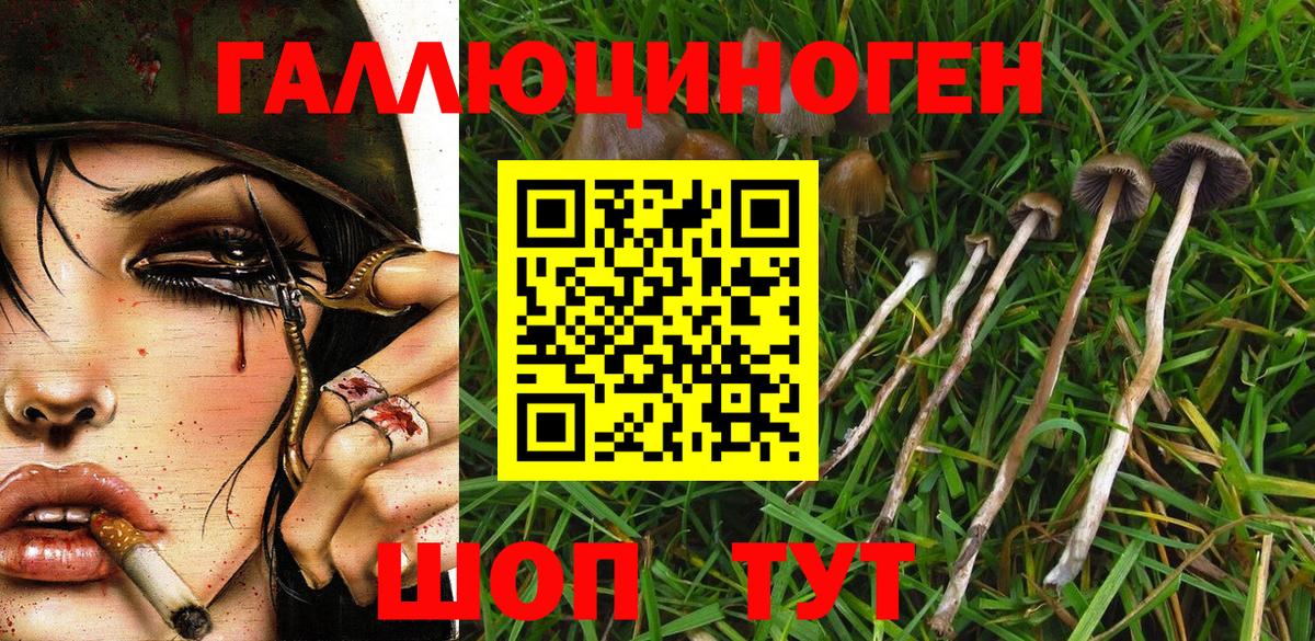Псилоцибиновые грибы GOLDEN TEACHER  Вход с VPN  Гурьевск 