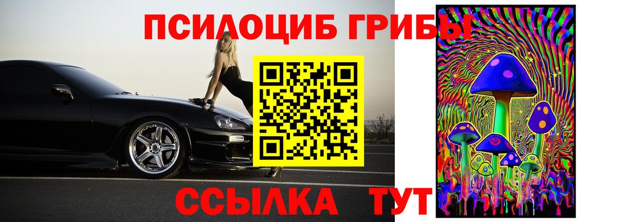 Гурьевск  Галлюциногенные грибы Psilocybine cubensis  Вход с VPN 